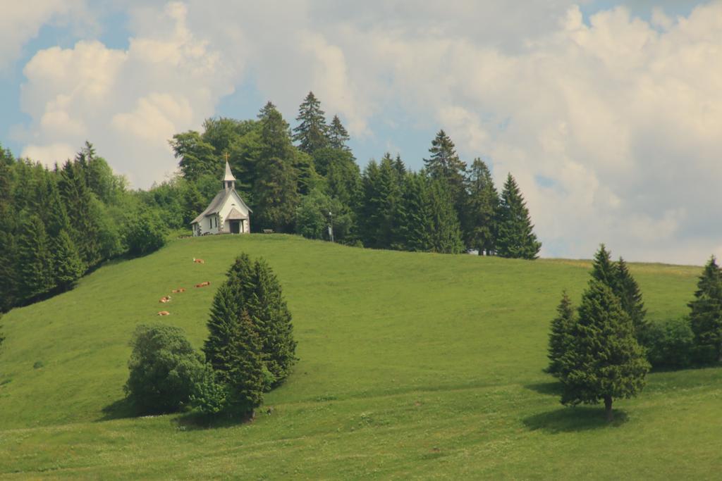 Todnauerberg Hotel Im Schwarzwald Todtnauberg Eksteriør billede