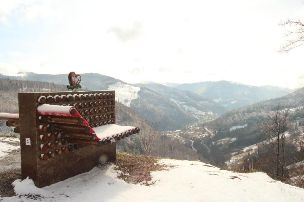 Todnauerberg Hotel Im Schwarzwald Todtnauberg Eksteriør billede