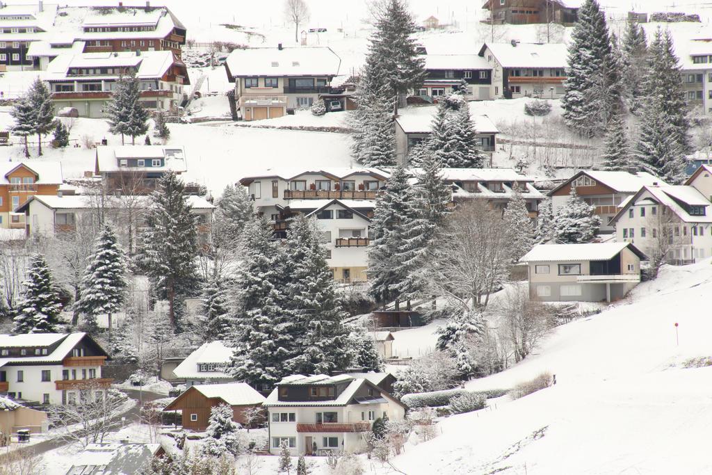 Todnauerberg Hotel Im Schwarzwald Todtnauberg Eksteriør billede